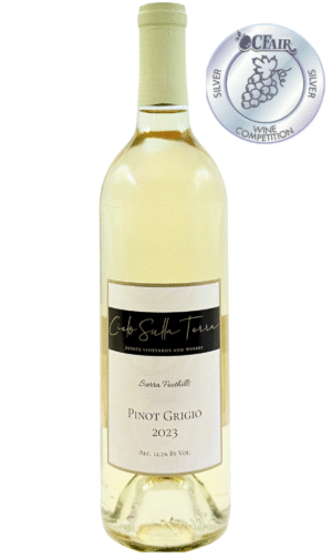 2023 Pinot Grigio